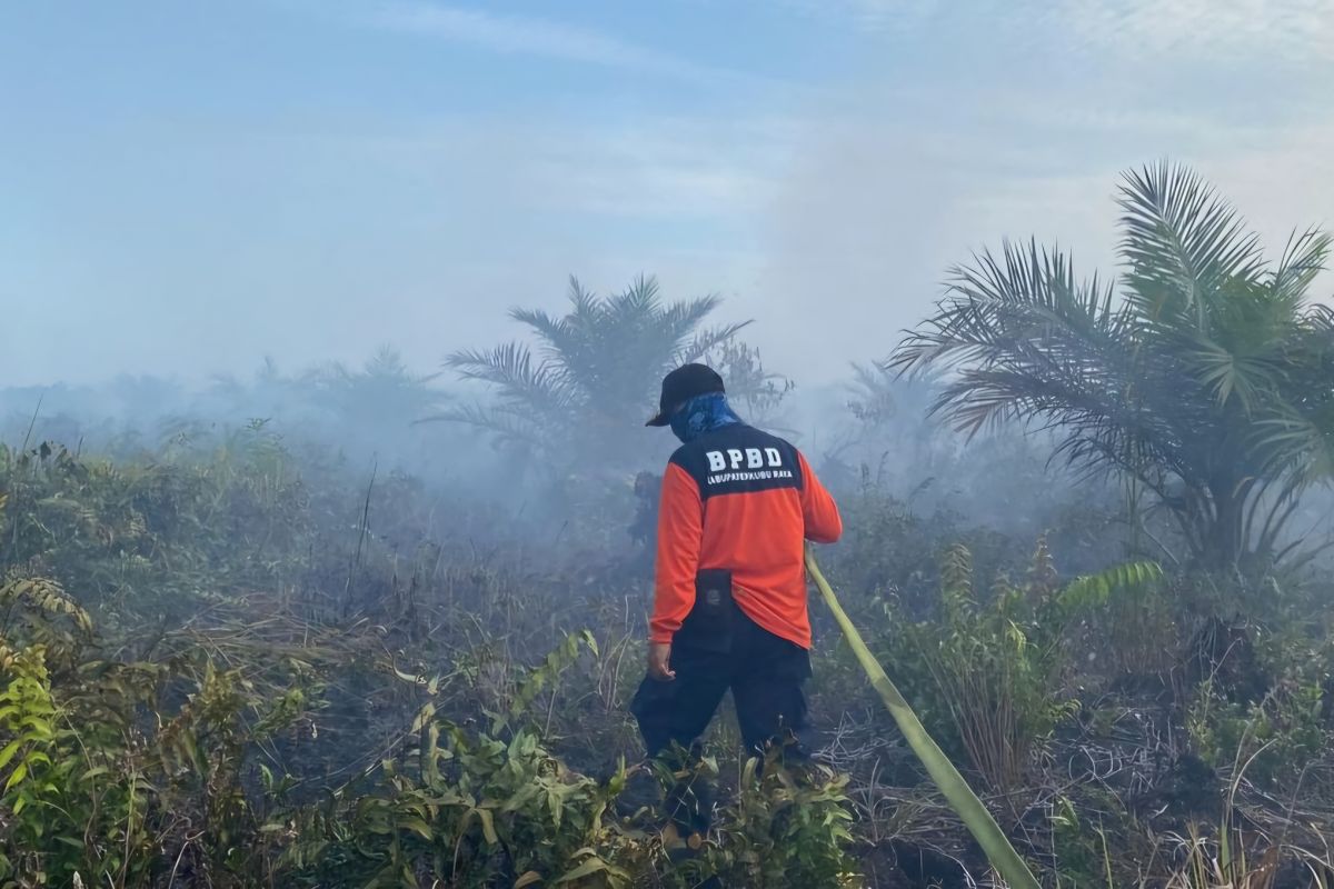 Karhutla di Kubu Raya seluas 10 hektare berhasil dipadamkan