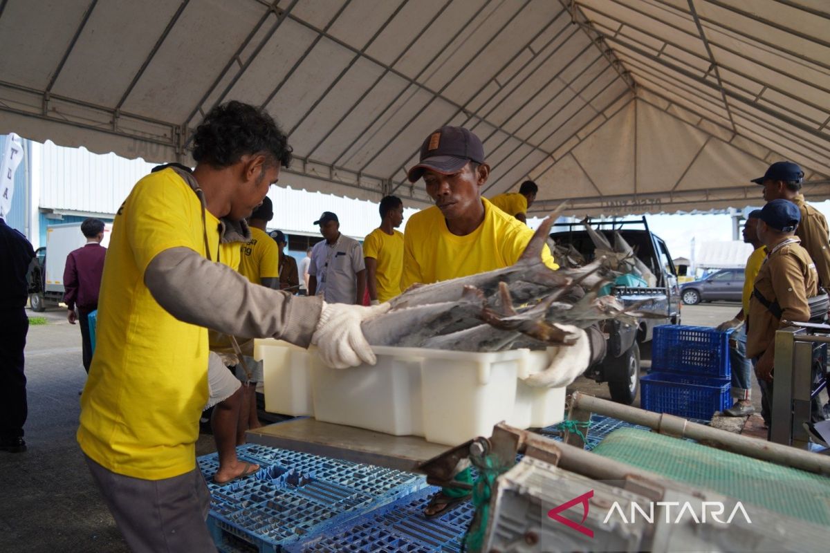 KKP ungkap tren impor produk perikanan hingga Juni 2024 menurun