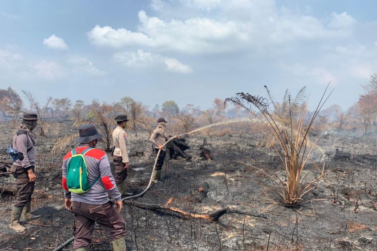 Petugas gabungan padamkan karhutla 37 hektare di Rokan Hilir 