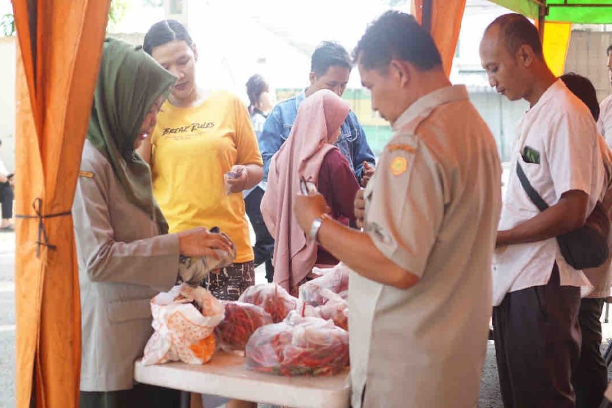 Kementan gandeng petani gelar aksi "Cabai Murah" hingga 16 Agustus