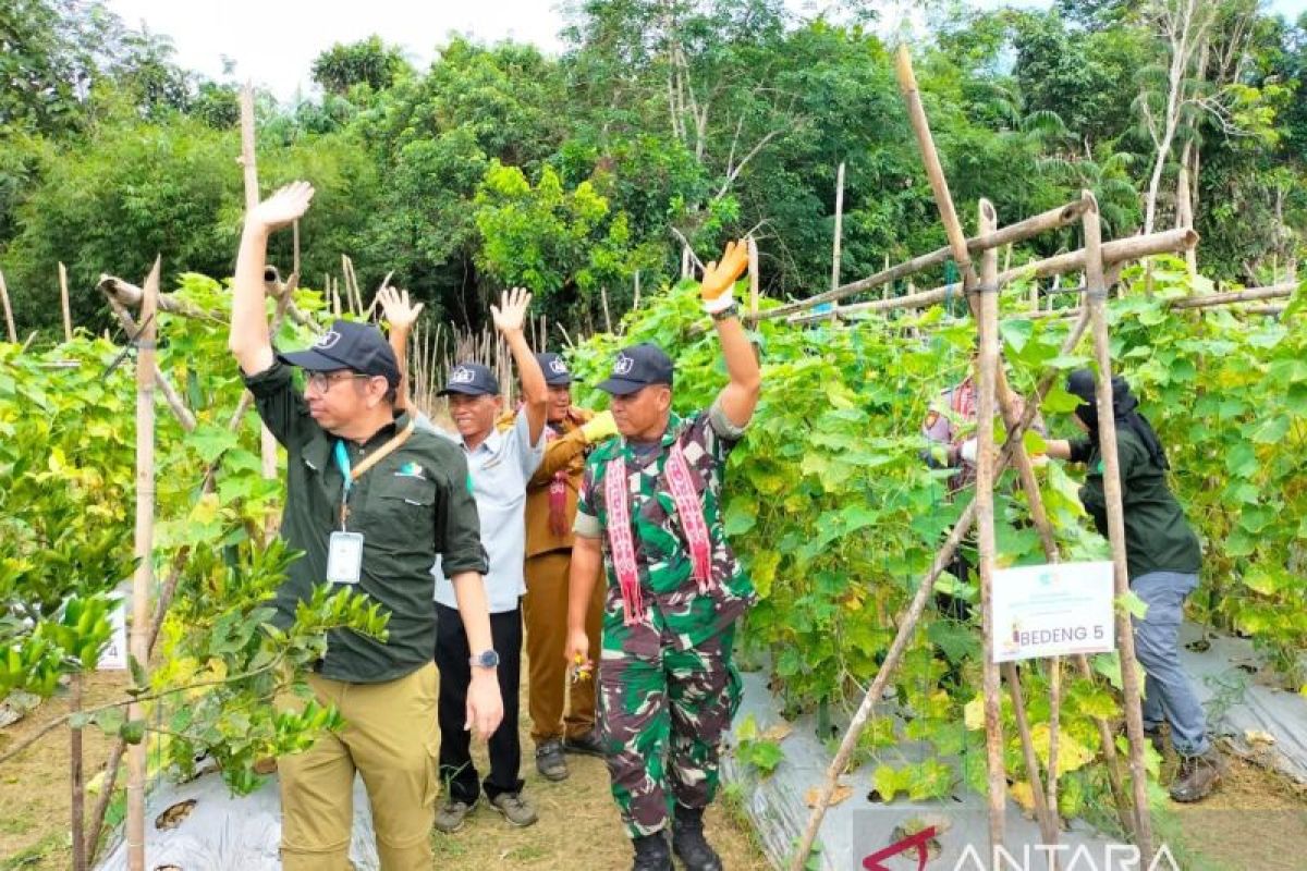 Dua desa di Kapuas Hulu menjadi contoh metode pertanian tanpa bakar