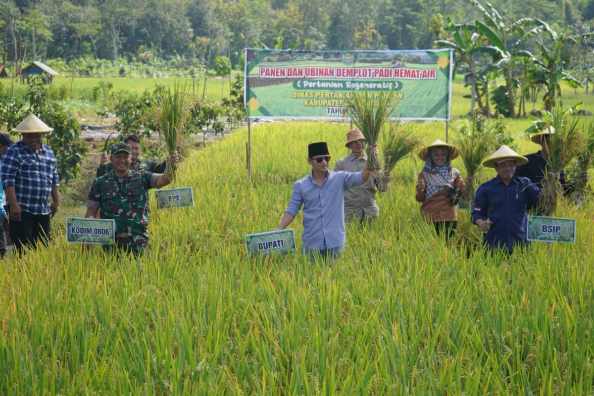 Trenggalek kembangkan sistem pertanian hemat air di lahan kering