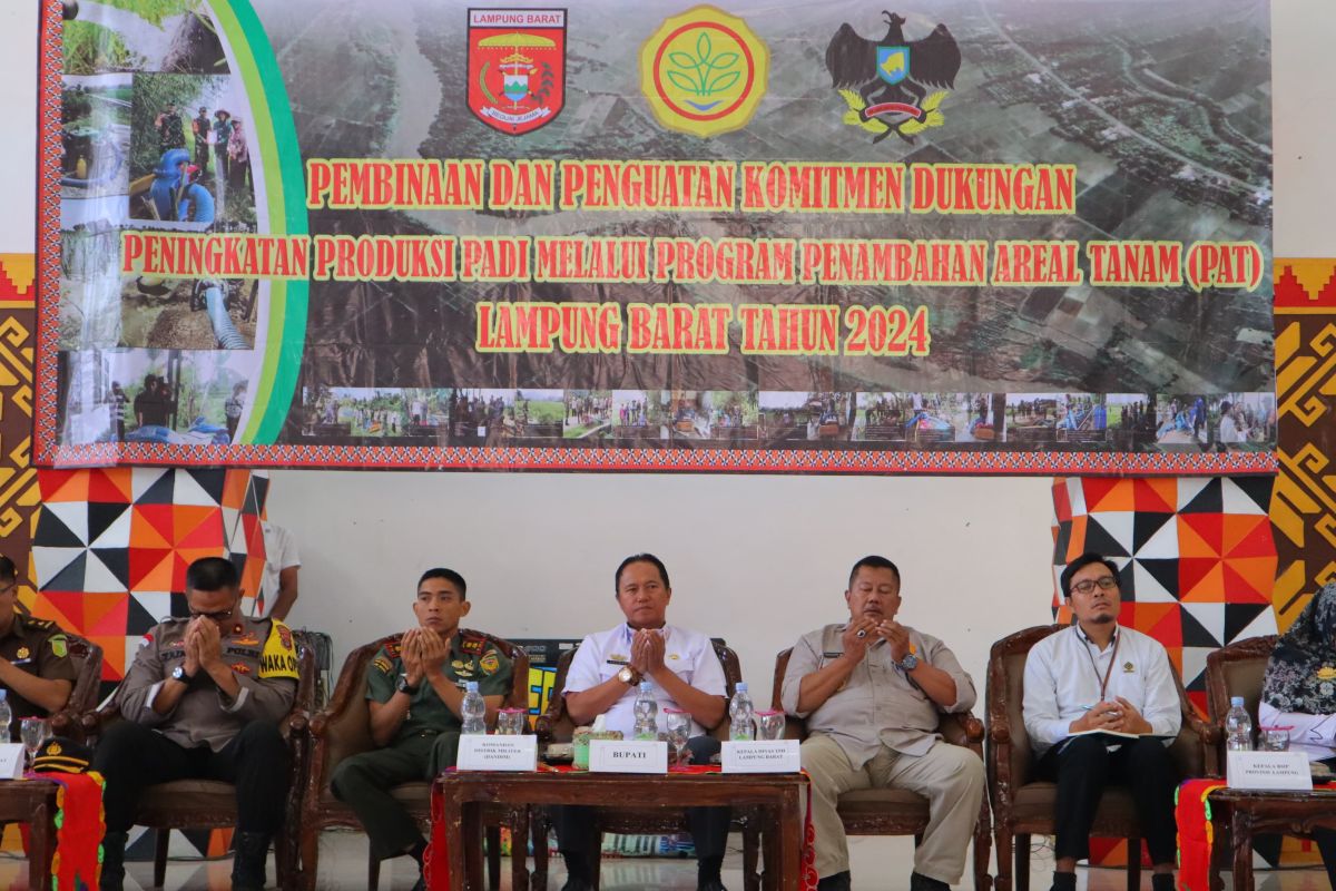 Petani Lampung Barat diminta tingkatkan produksi padi antisipasi El Nino