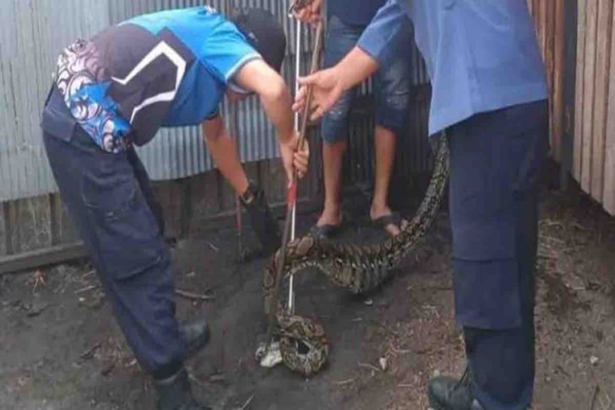 Warga harus pelajari cara mencegah hewan liar