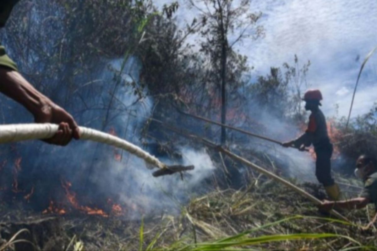 Number of hotspots in N Sumatra down to 53: BMKG