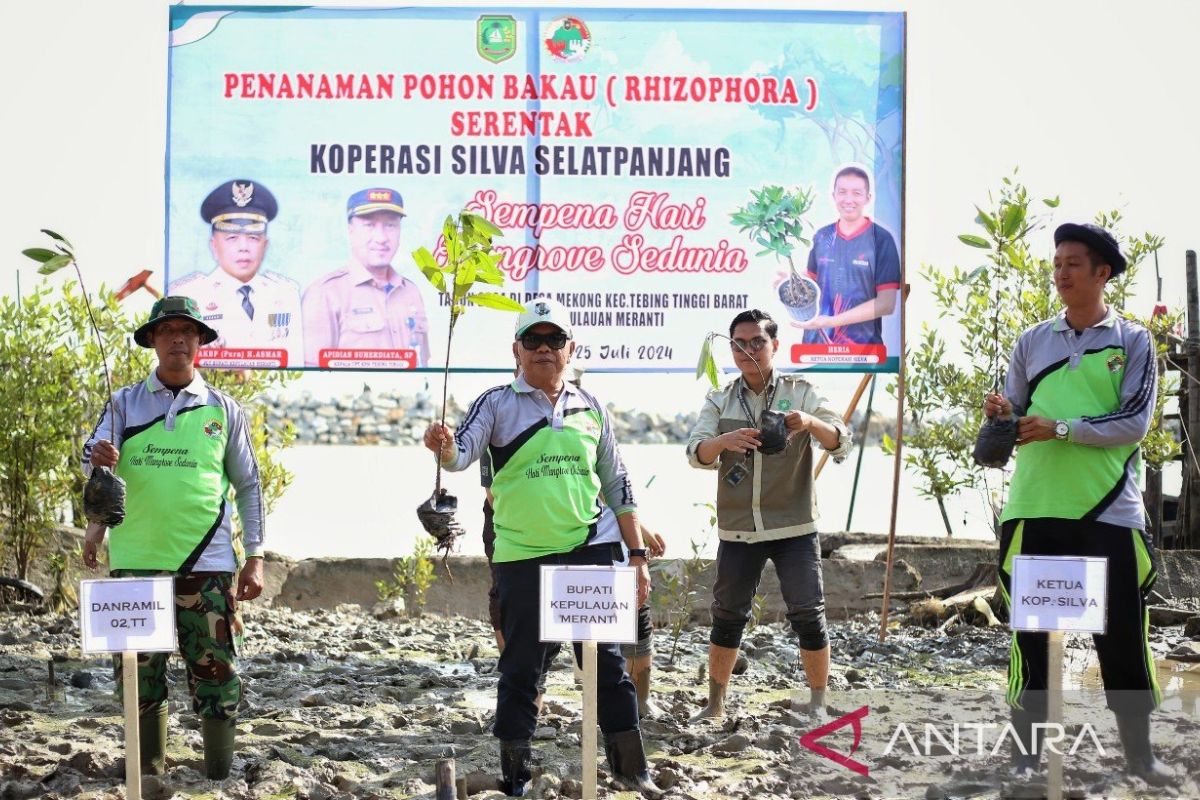 Peringati Hari Manggrove Sedunia, Bupati Meranti ikuti penanaman 2000 bakau di Desa Mekong