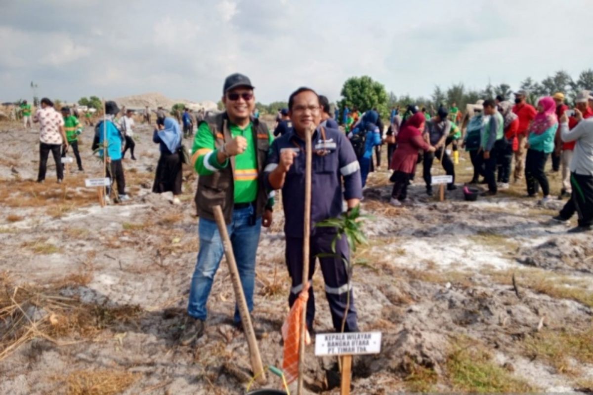 PT Timah-Pemkab Bangka tanam pohon di kawasan pantai