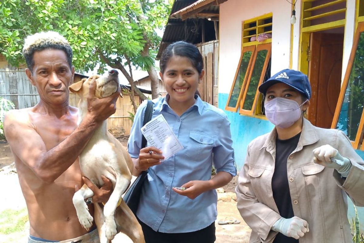 Cegah rabies, Flores Timur perketat pengawasan lalu lintas anjing