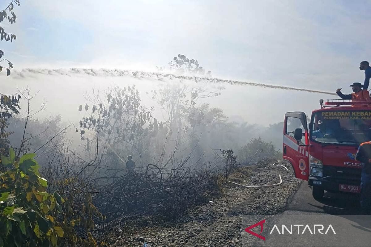 BPBD: Delapan kecamatan di Aceh Barat alami kebakaran lahan seluas 11,3 Ha