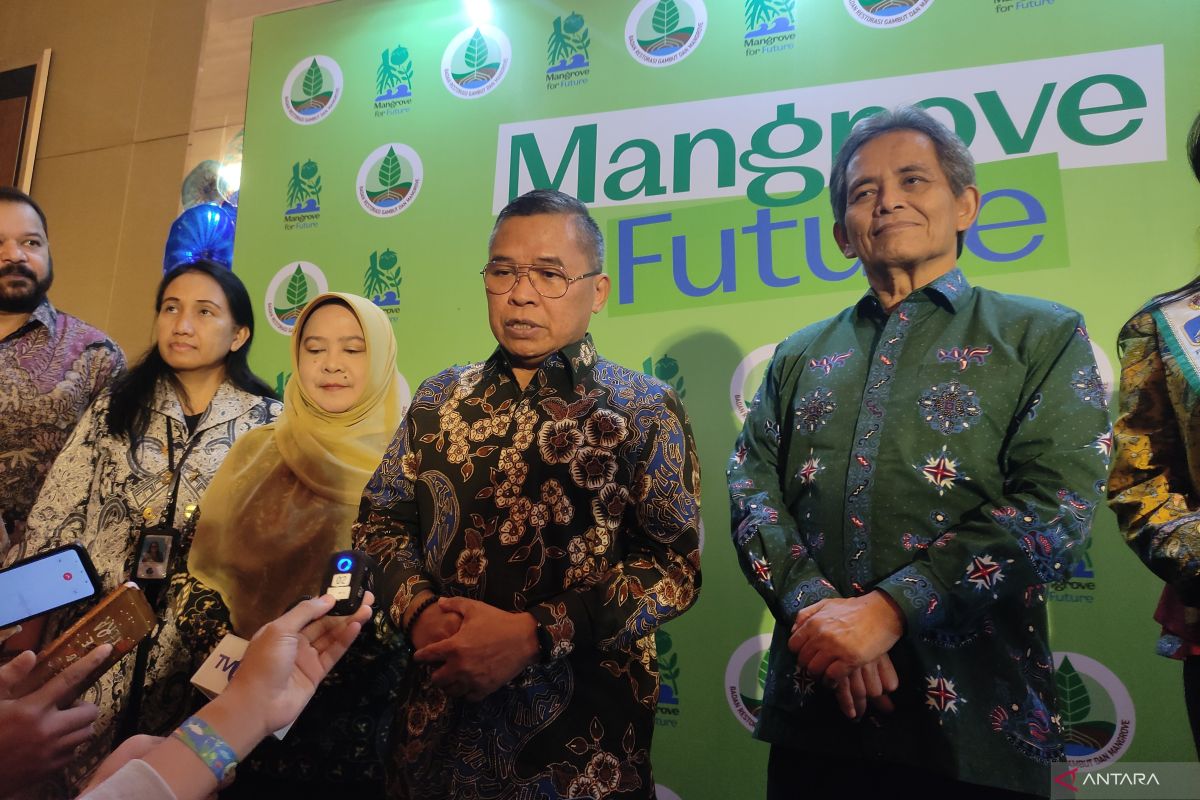 BRGM: RPP perlindungan ekosistem mangrove harus segera disahkan