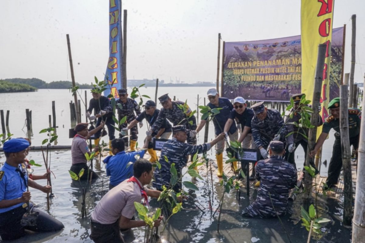 Pelindo-TNI AL berkolaborasi konservasi bakau untuk wisata pesisir