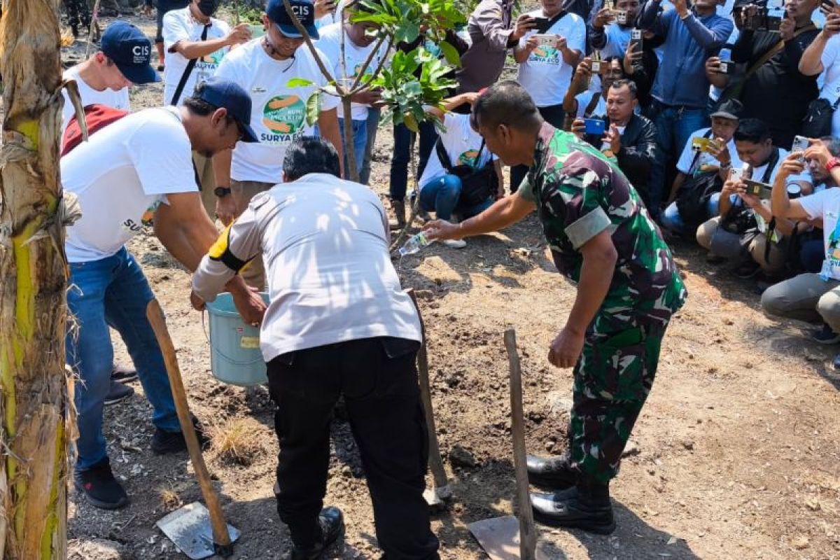 PDAM Surabaya bersama jurnalis tanam pohon di Sumber Air Plintahan Pasuruan