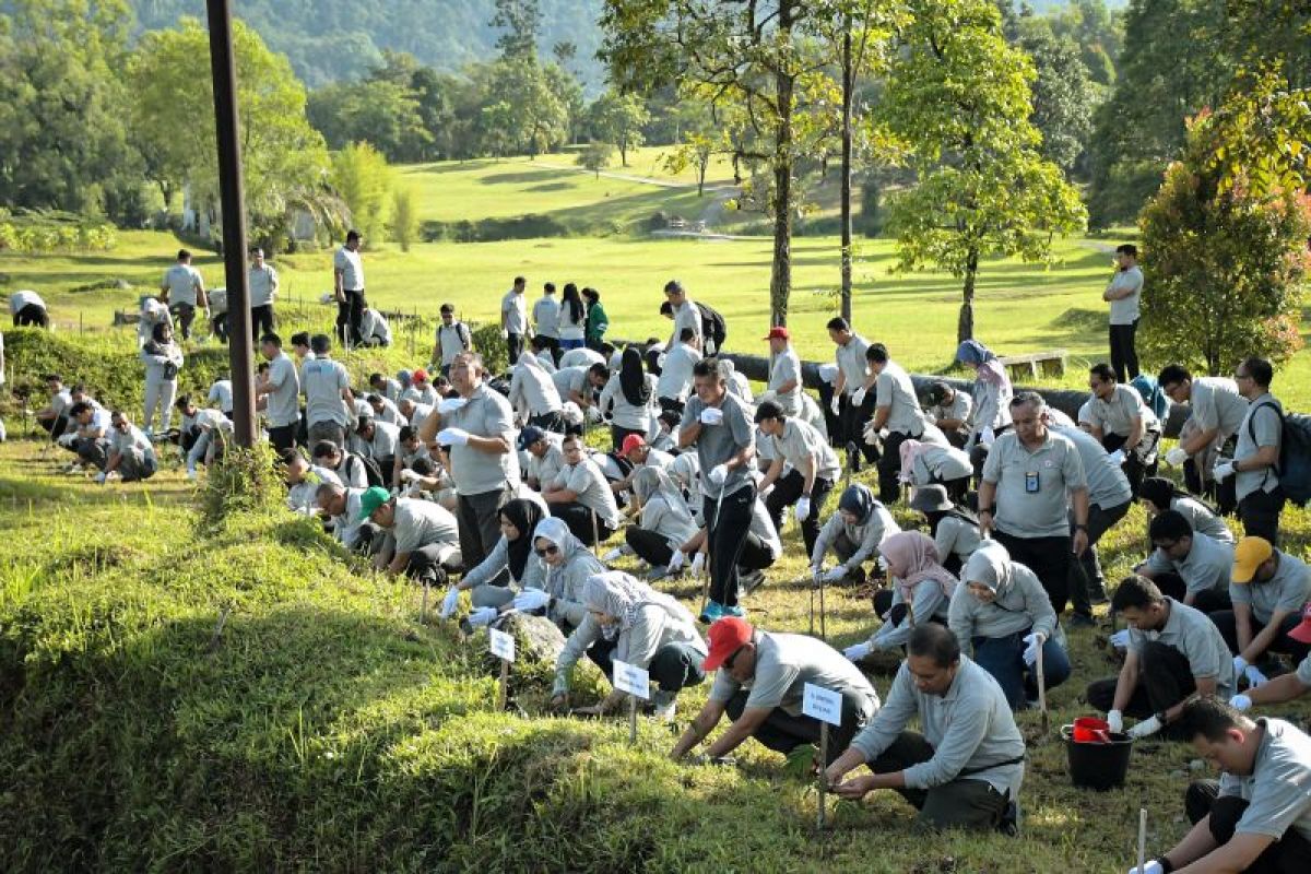 Rangkaian Empat Tahun AKHLAK BUMN, PT Semen Padang gelar "A Million Acts of Green Kaliandra Planting Program"