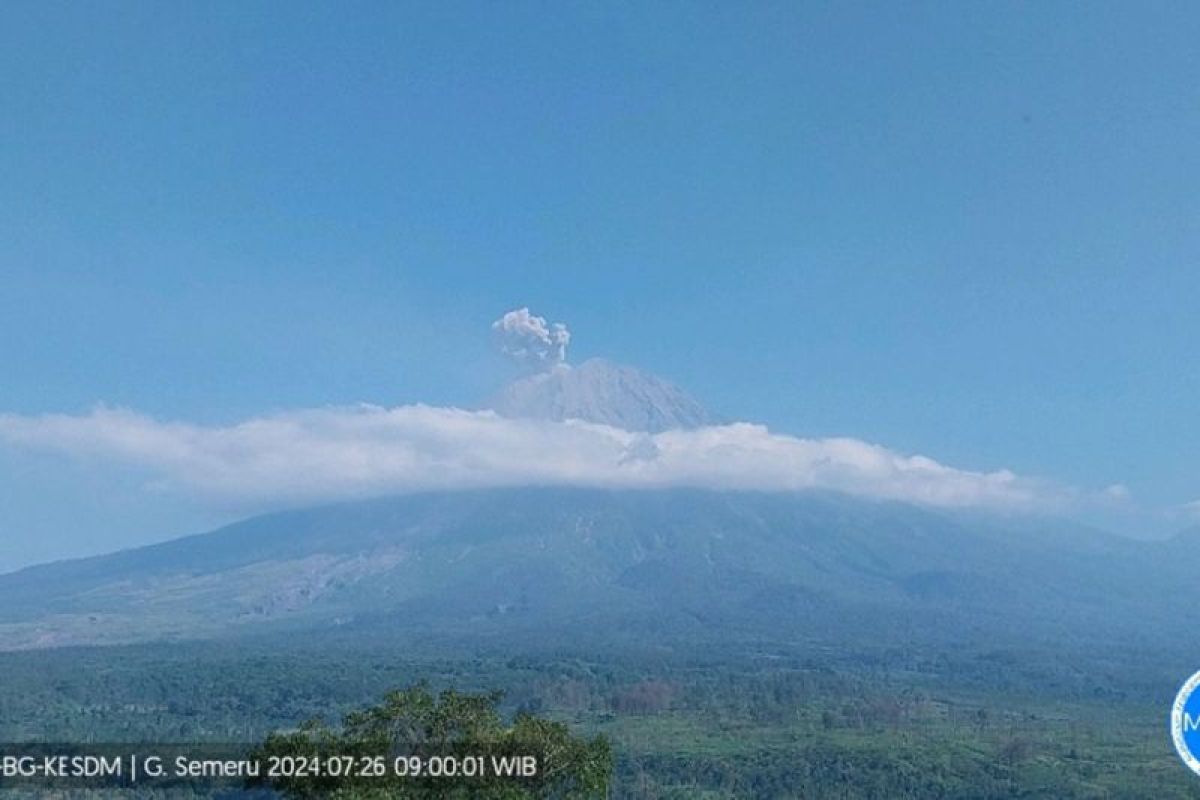 Semeru beberapa kali erupsi dengan tinggi letusan hingga 800 meter