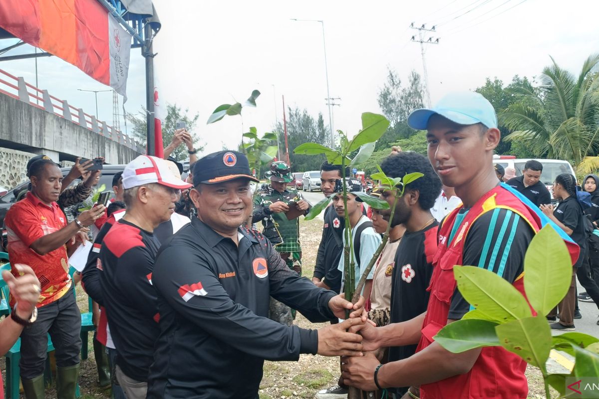 BPBD Jayapura: Menanam mangrove untuk mitigasi bencana alam