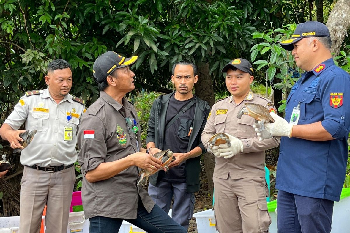 Petugas Karantina Merauke periksa 150 satwa sebelum dilepas di Distrik Sota