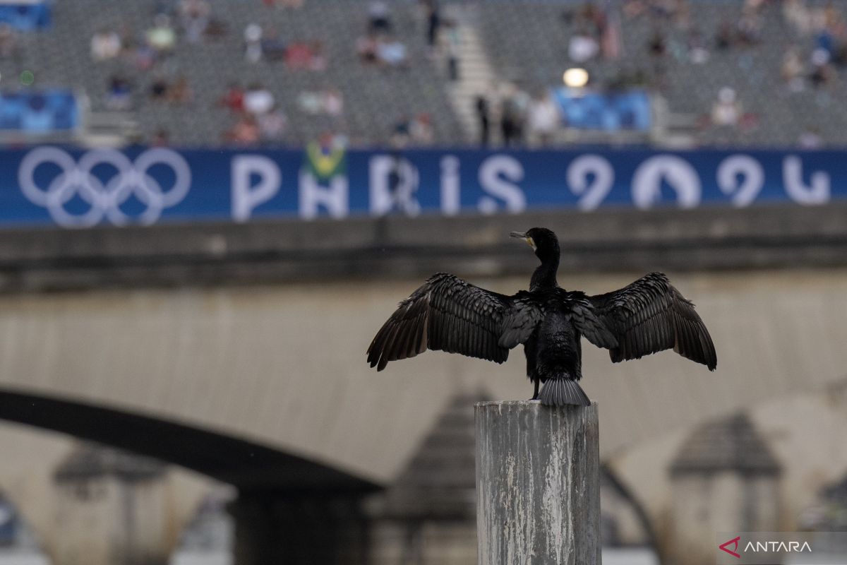 WHO soroti turunnya cakupan vaksinasi menyusul kasus COVID di Paris