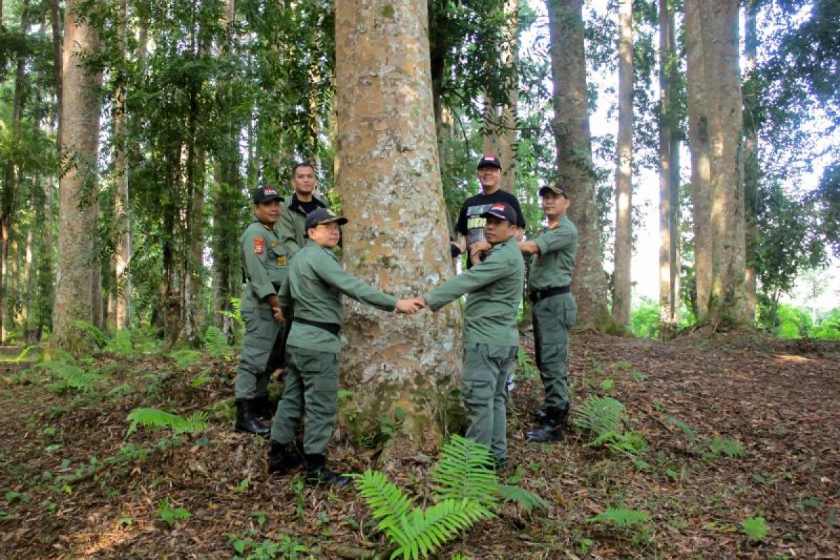 Keberadaan harimau indikator hutan sehat