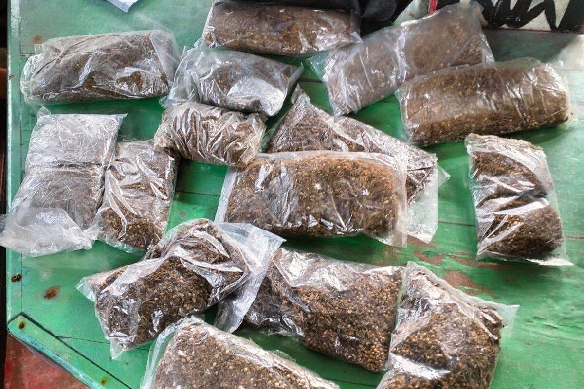 Transnational drug trafficker arrested in Papua