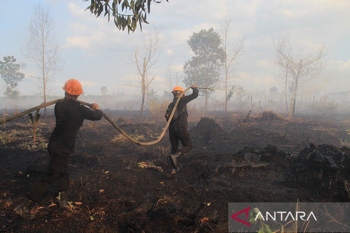 Waspada karhutla, BMKG: Titik panas Kalbar melonjak ada 2.015 titik