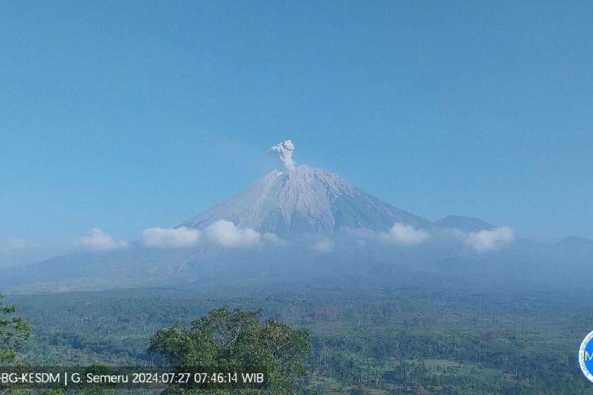 Semeru kembali erupsi dengan letusan setinggi 800 meter