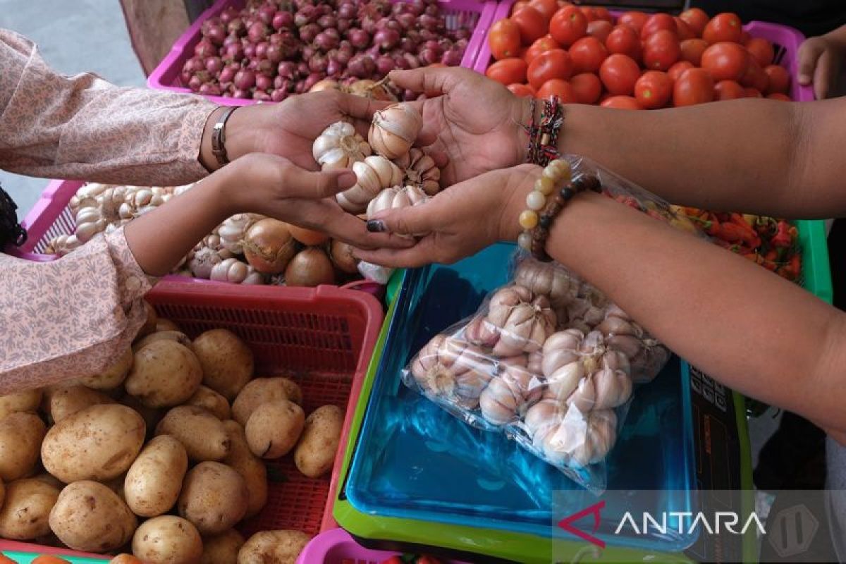 Bapanas: Harga pangan beras-bawang dan cabai hingga minyak fluktuatif