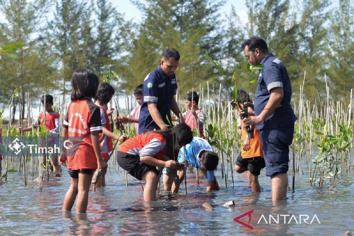 PT Timah tanam 48.000 mangrove di Pantai Menuang Bangka Tengah