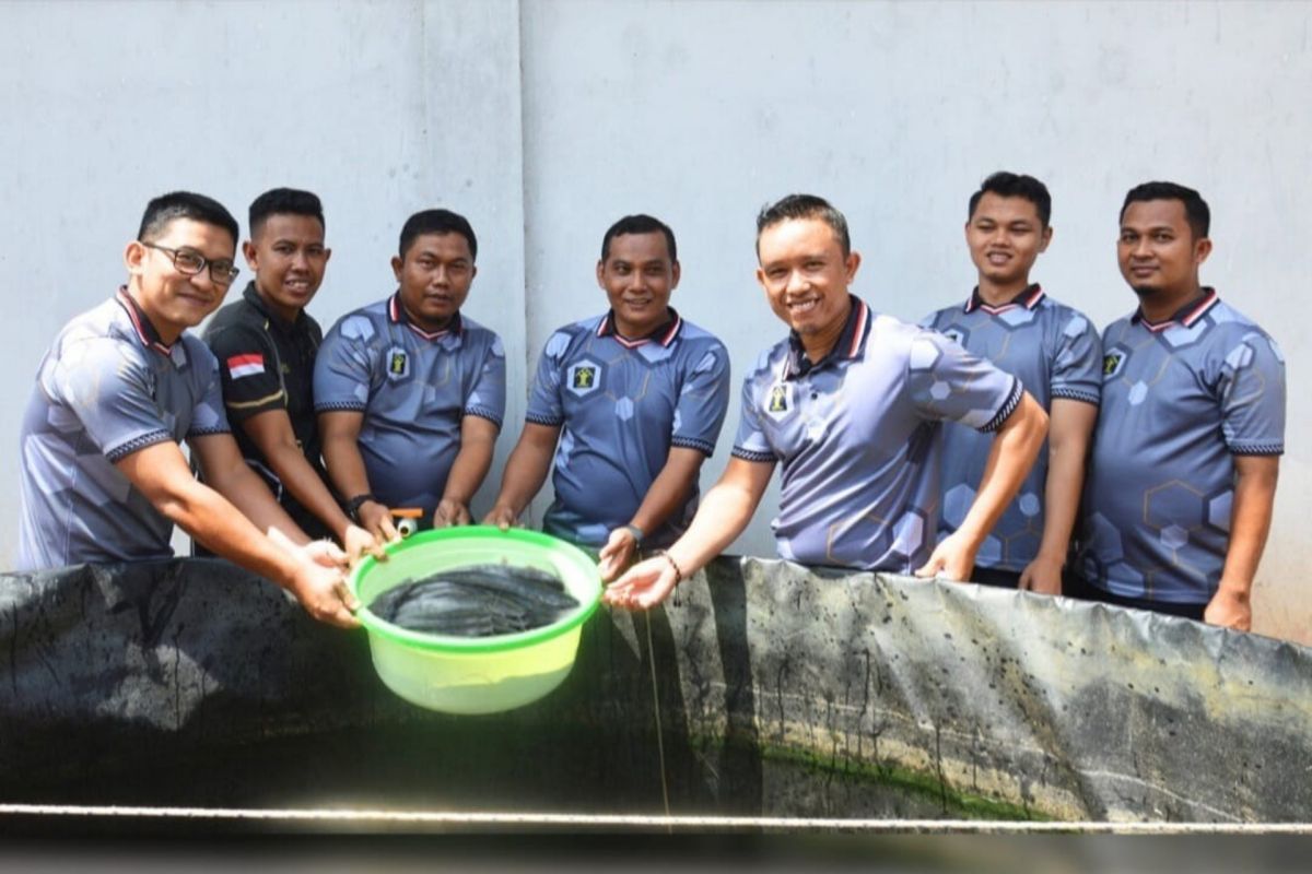 Lapas Sabak panen 500 kg ikan lele hasil pendampingan warga binaan