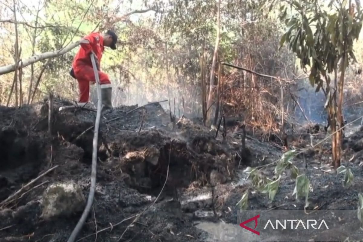 BRGM ingatkan pentingnya pengawasan lahan gambut dalam areal korporasi