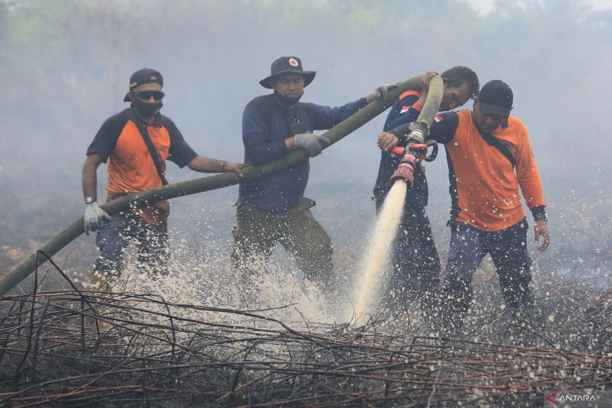 Menteri LHK klaim Karhutla dan deforestasi menurun drastis