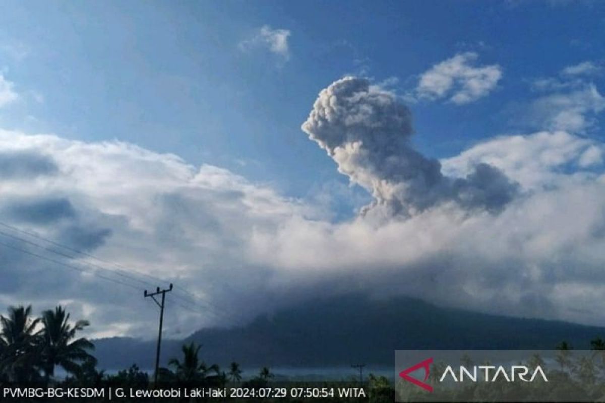 Badan Geologi: Warga empat desa waspada debu vulkanik Gunung Lewotobi