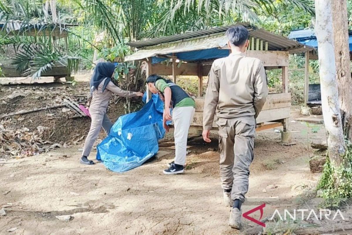 Pondok terlarang di Bukit Simarsayang Padangsidempuan ditertibkan Satpol PP, ini tujuannya