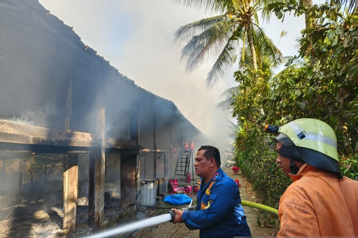 Peternak ayam di Jembrana rugi miliaran akibat kebakaran