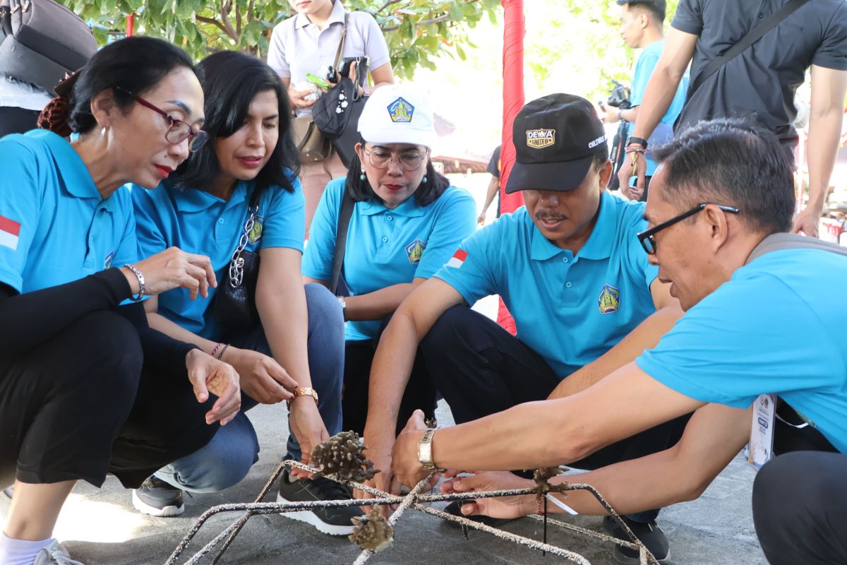 Sekda Bali restorasi terumbu karang perairan di Pemuteran