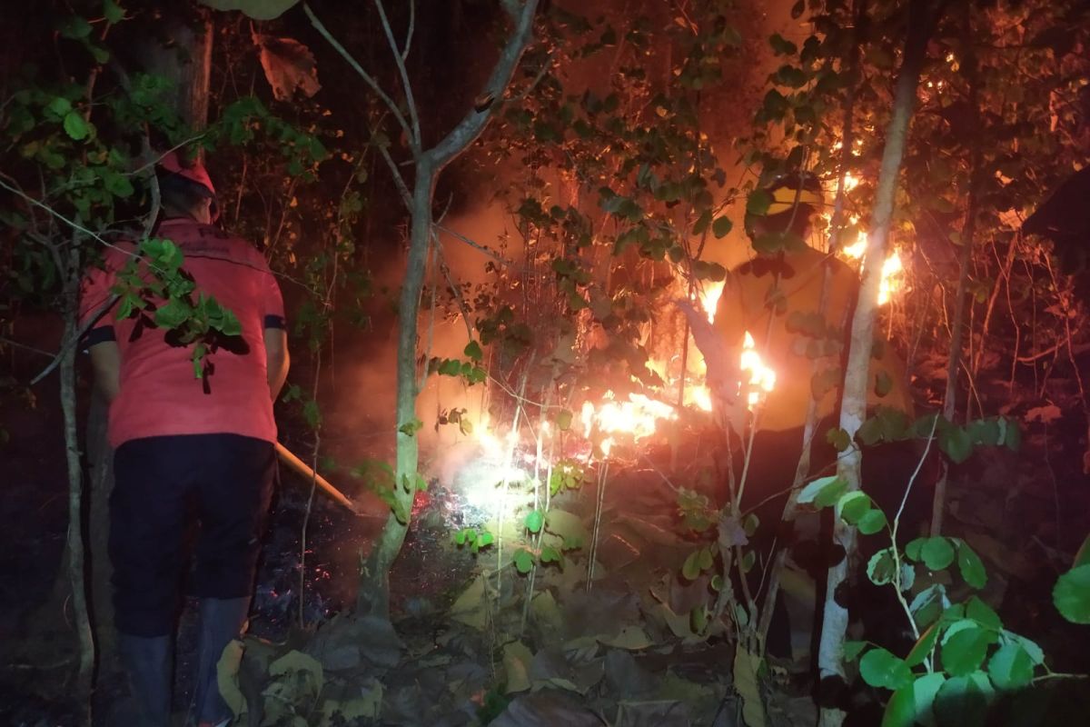 Kebakaran hutan kembali terjadi di kawasan Gunung Orak-Arik Trenggalek