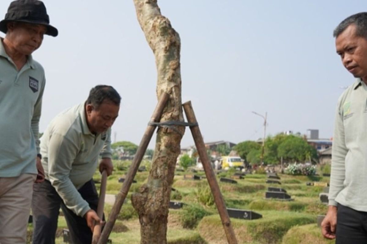 Jakbar sasar lahan fasos dan fasum untuk ditanami pohon pelindung