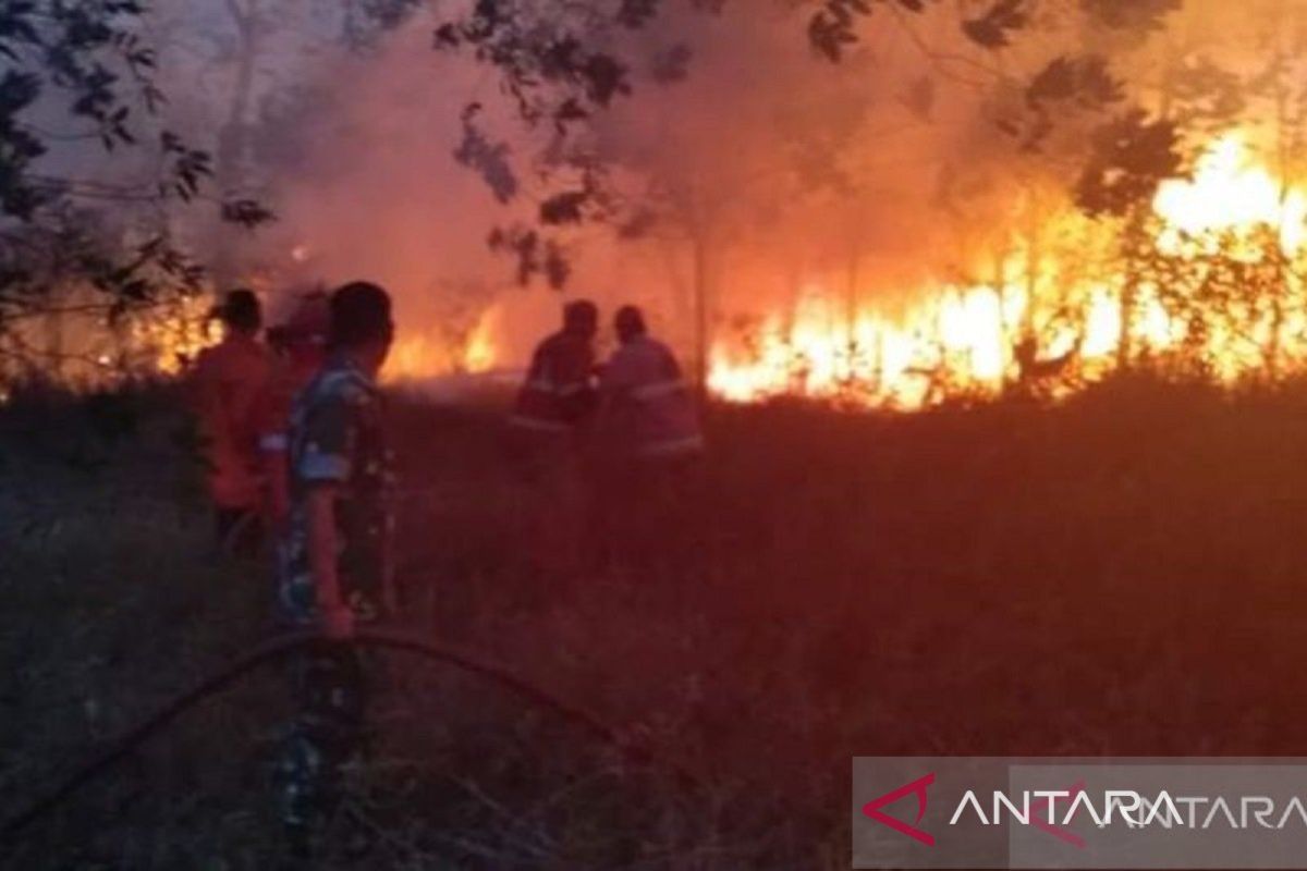 BPBD Babel tangani delapan kebakaran hutan