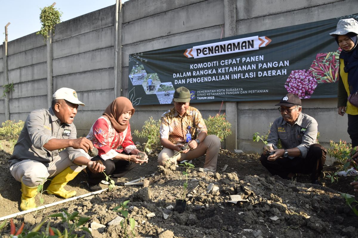 Pemkot Surabaya siapkan langkah kendalikan harga cabai