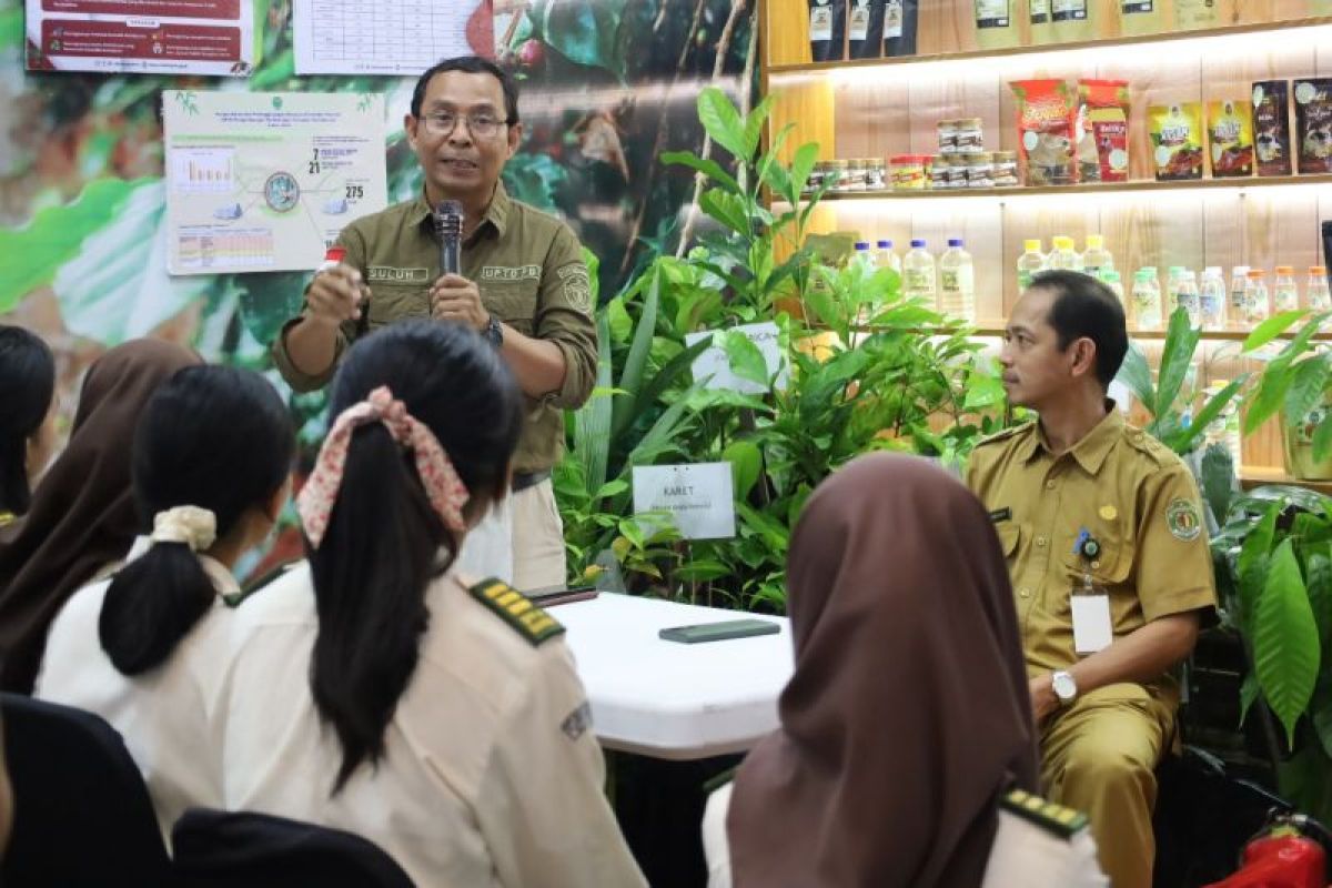 Disbun Kaltim ingatkan petani untuk  pilih benih karet unggul