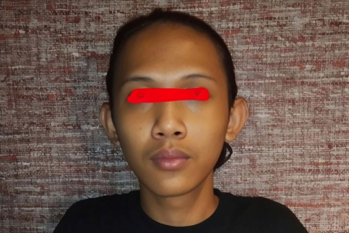 Polisi tangkap tersangka penjual video porno lewat aplikasi telegram