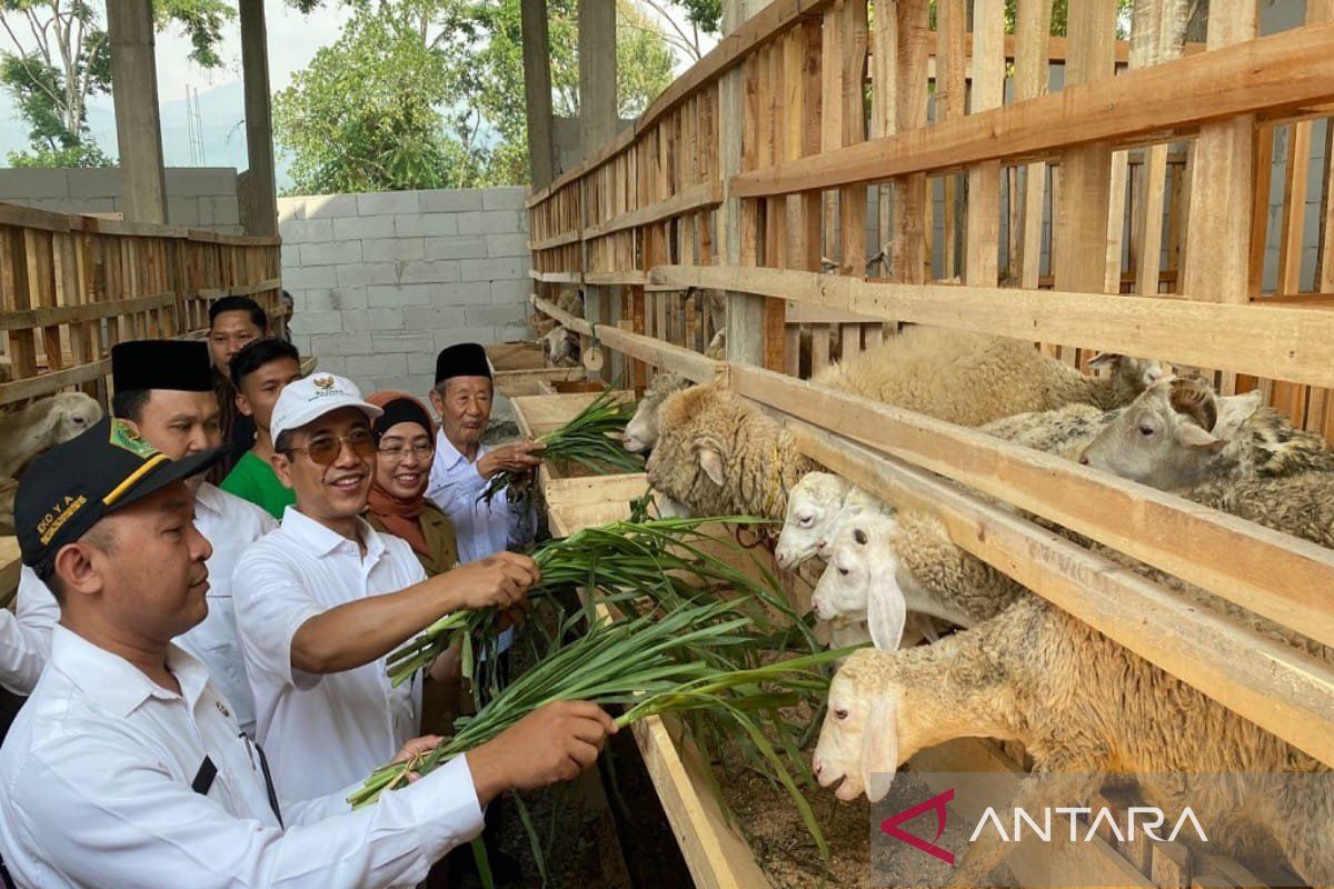 Baznas luncurkan program pemberdayaan ekonomi mustahik