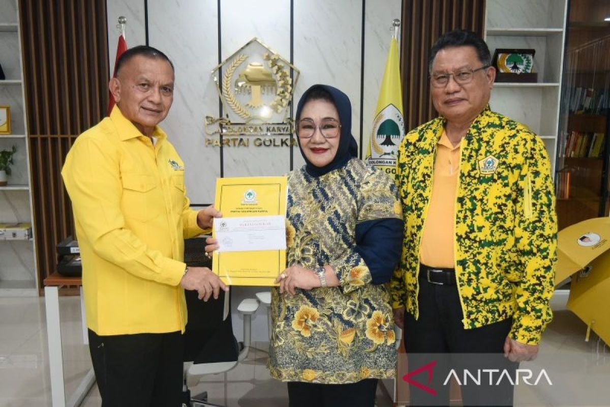 Tina Nur Alam, perempuan cagub Sultra untuk Pilkada 2024