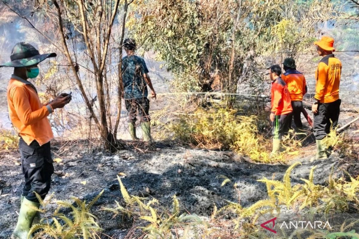 BPBD Mukomuko imbau warga waspada kebakaran lahan gambut