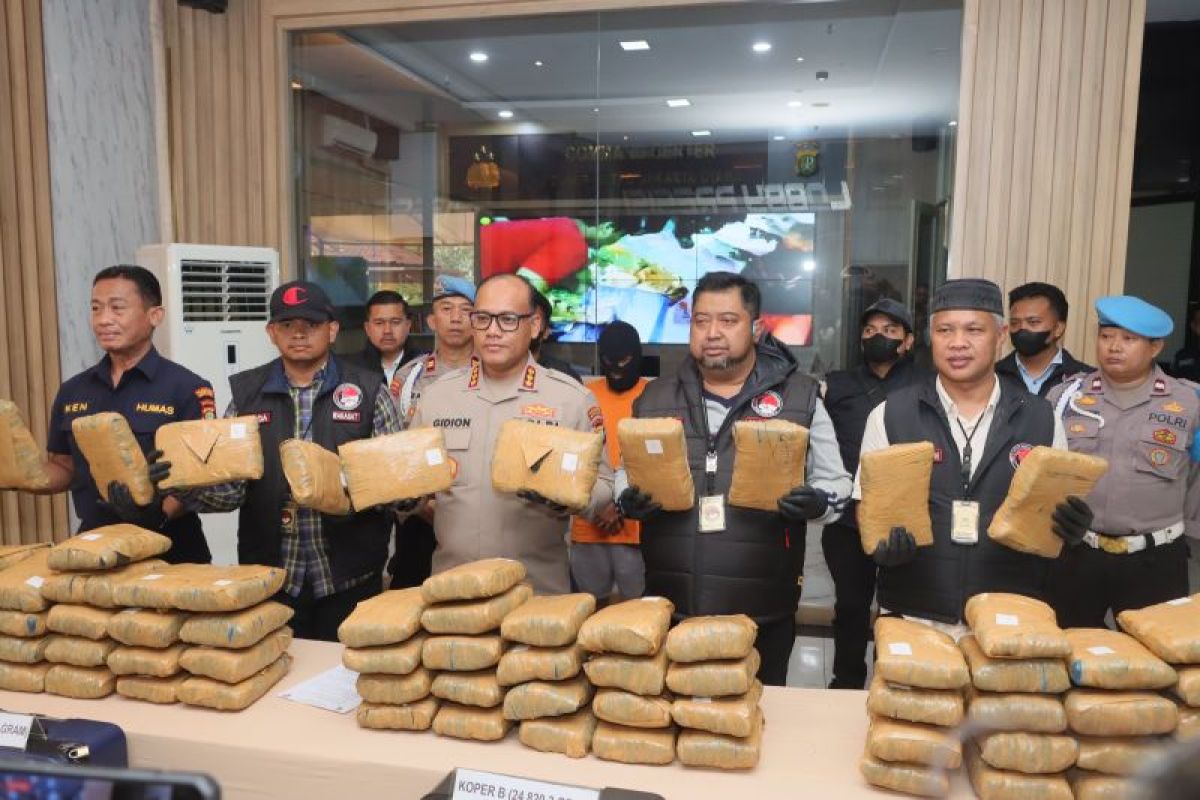 Polres Jakarta Utara gagalkan peredaran ganja seberat 77 kilogram