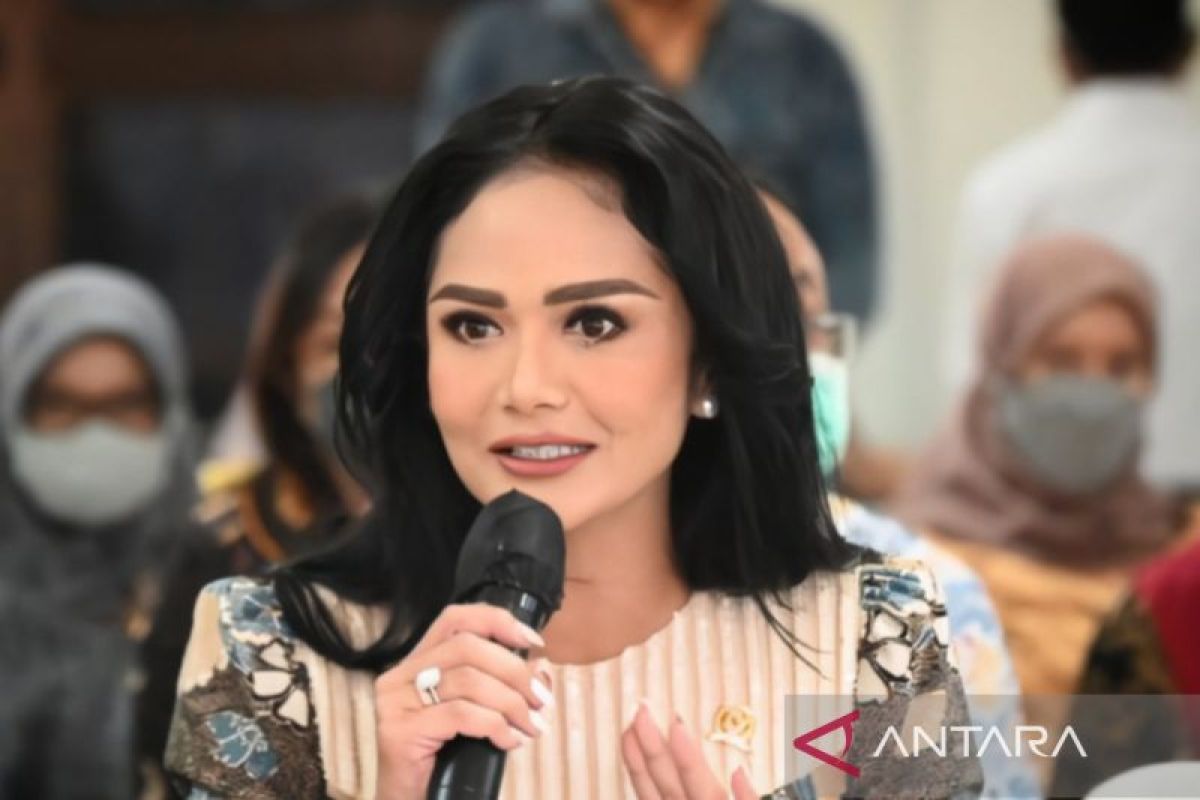 Kris Dayanti desak pemerintah perketat regulasi klinik kecantikan di Indonesia