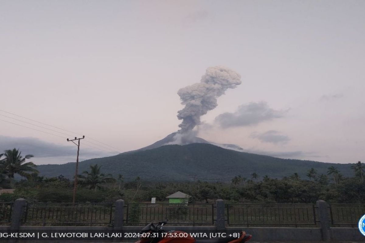 Badan Geologi imbau warga tidak memasuki radius bahaya Gunung Lewotobi