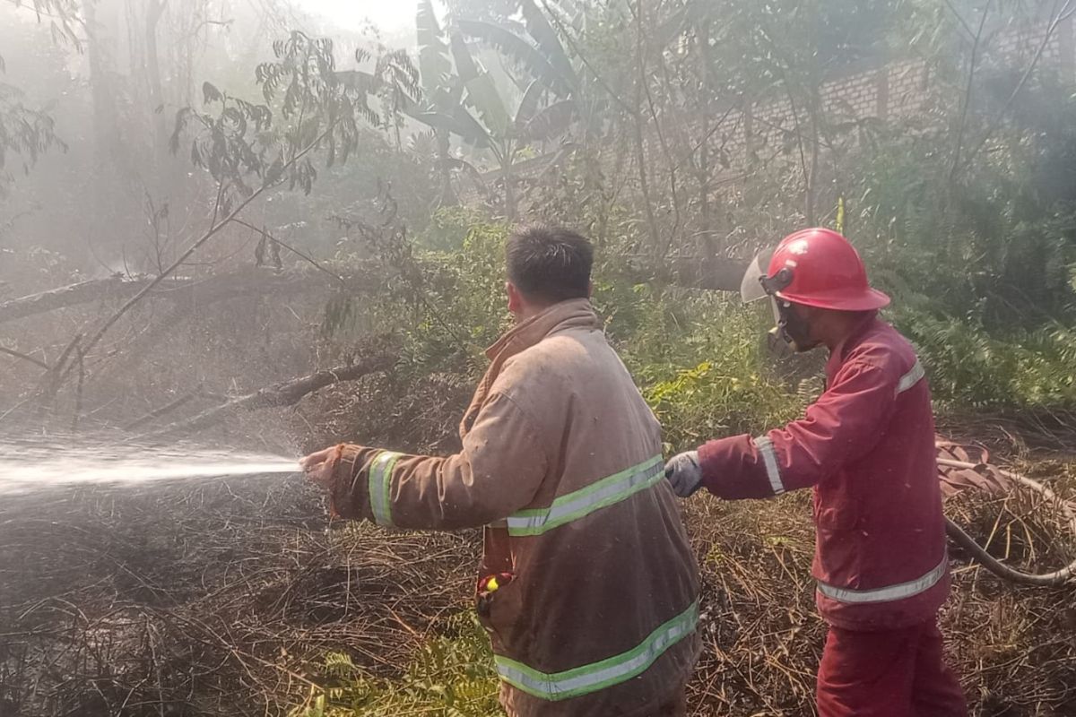 Damkar Kota Jambi turunkan puluhan personel padamkan kebakaran lahan