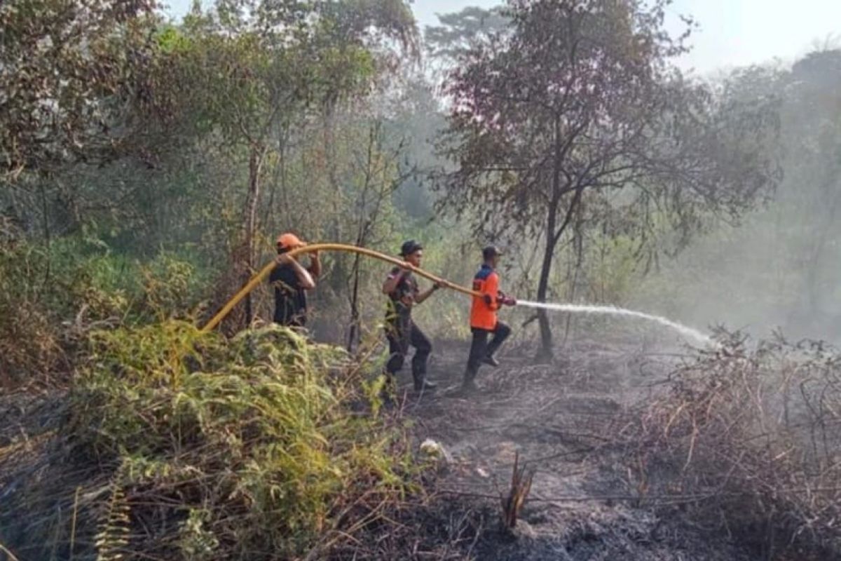 BPBD: Karhutla di Muara Enim berhasil dipadamkan