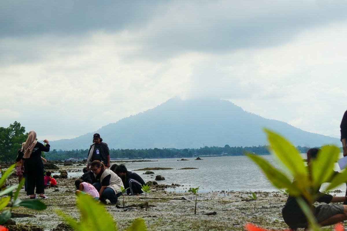 Mahasiswa-NHM tanam mangrove dan jaga lingkungan pantai