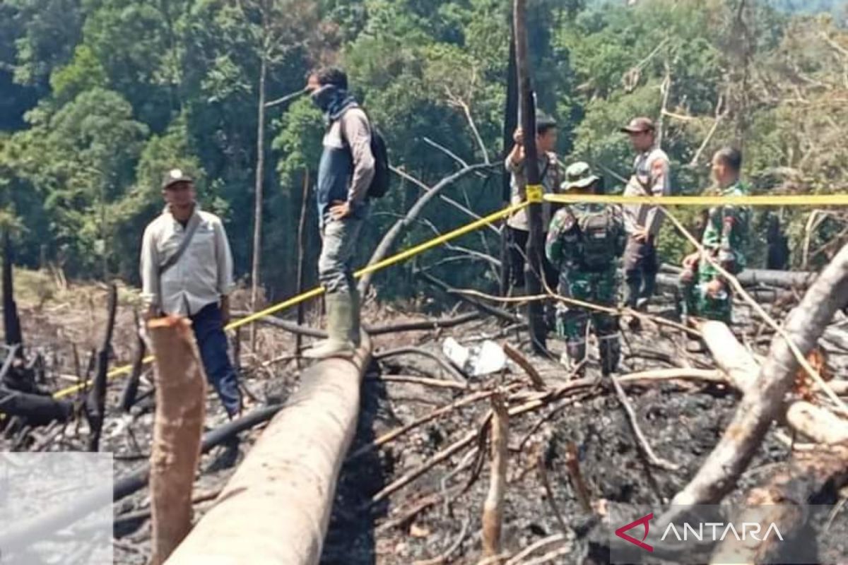 Polres Mukomuko gelar patroli gabungan cegah perambahan hutan